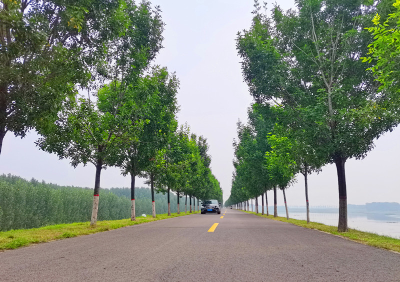 金秋画卷金堤河(图2)